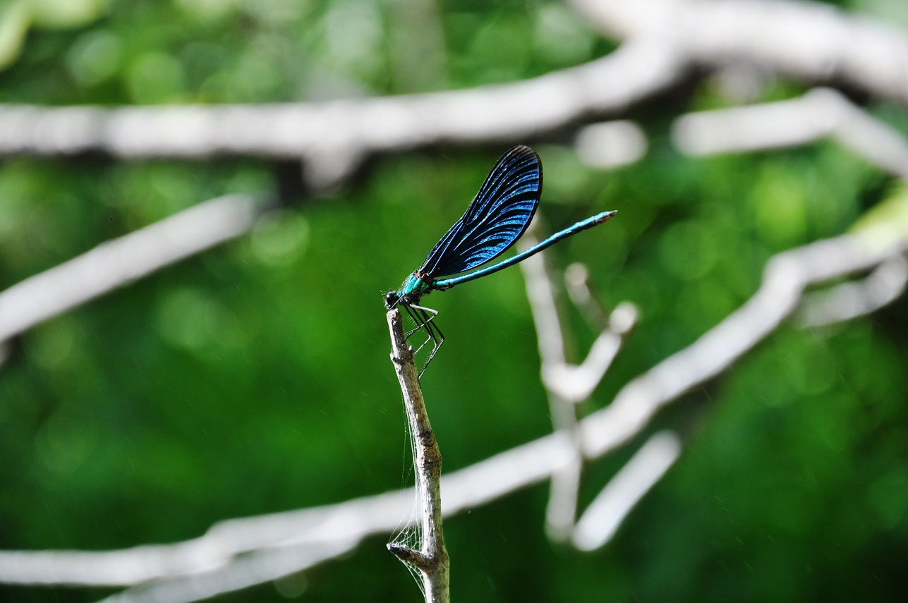 DSC_0191 DSC_0191