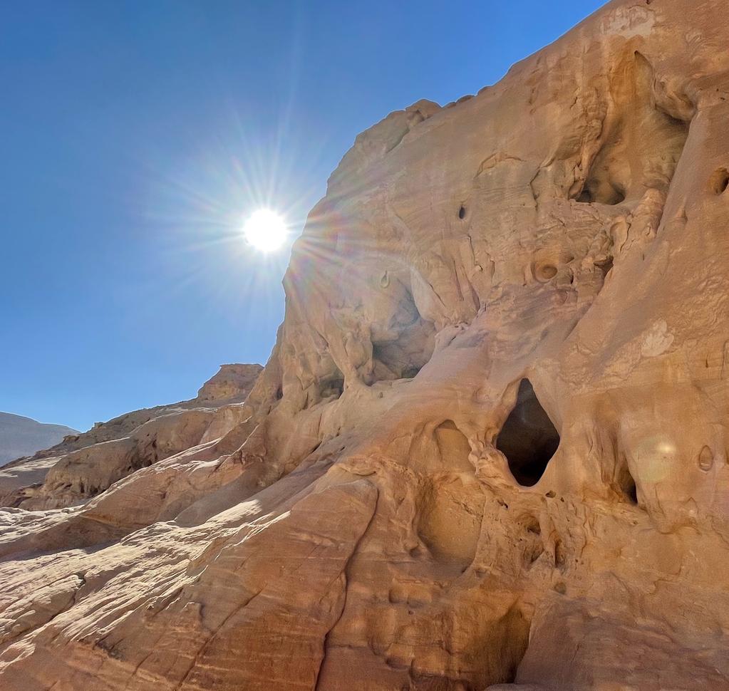 timna timna